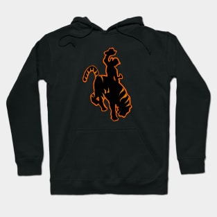 Go Tigers! Hoodie